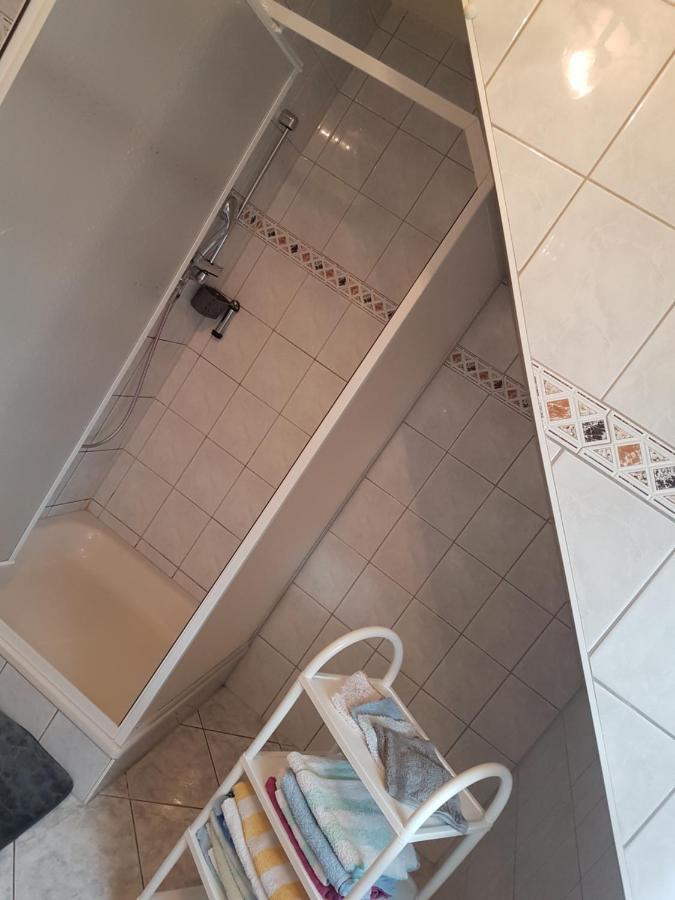 Landpension Zum Schweizerberg Neugrimnitz 外观 照片