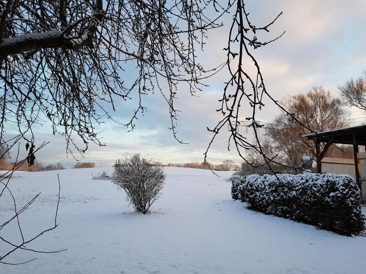 Landpension Zum Schweizerberg Neugrimnitz 外观 照片