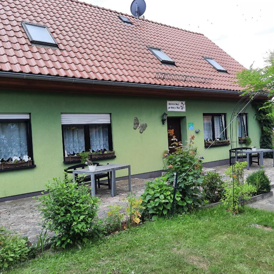 Landpension Zum Schweizerberg Neugrimnitz 外观 照片