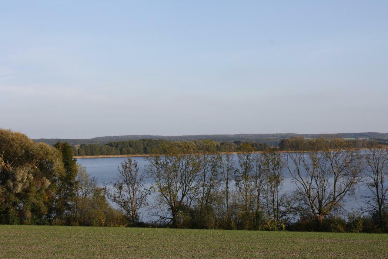 Landpension Zum Schweizerberg Neugrimnitz 外观 照片