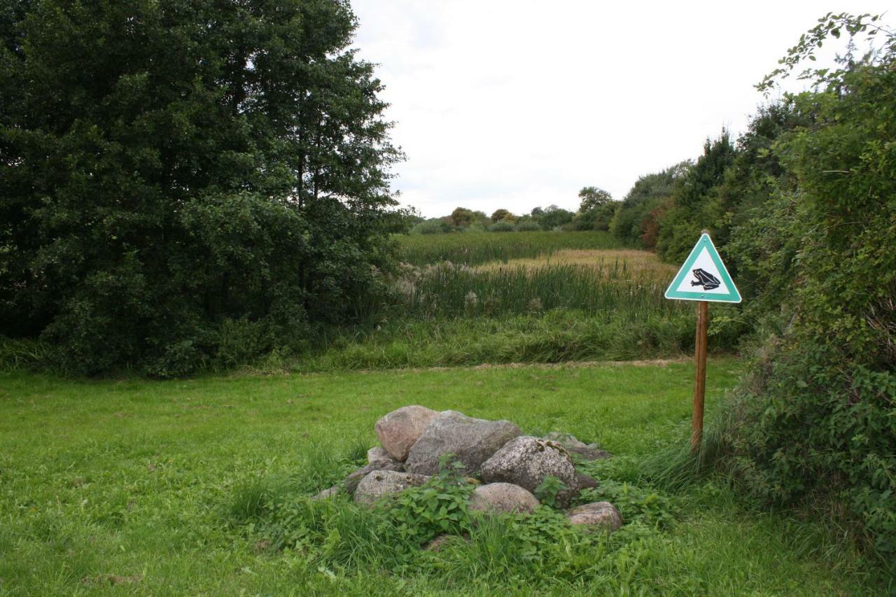 Landpension Zum Schweizerberg Neugrimnitz 外观 照片