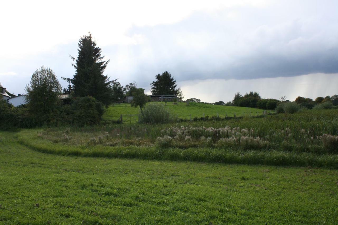 Landpension Zum Schweizerberg Neugrimnitz 外观 照片
