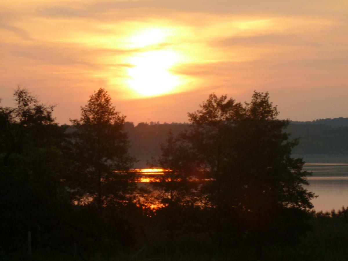 Landpension Zum Schweizerberg Neugrimnitz 外观 照片