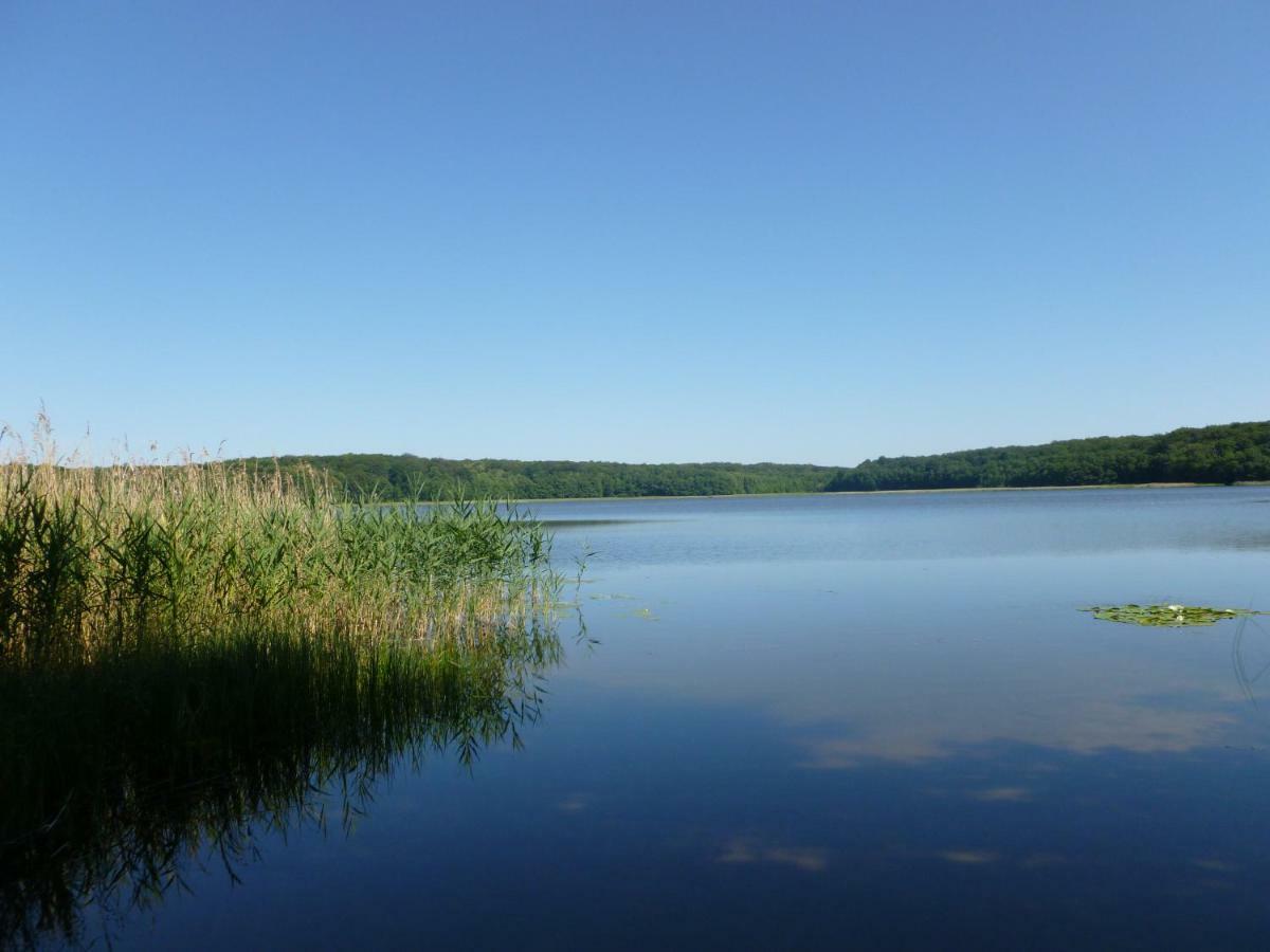 Landpension Zum Schweizerberg Neugrimnitz 外观 照片