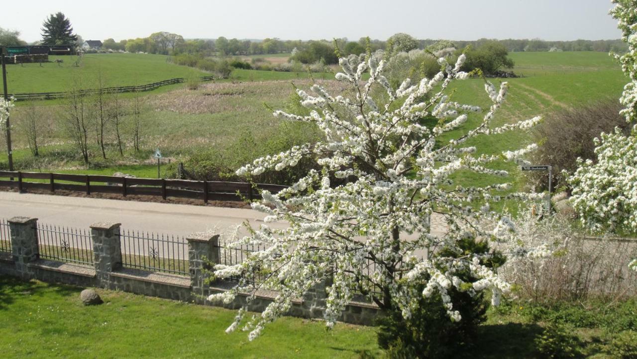 Landpension Zum Schweizerberg Neugrimnitz 外观 照片