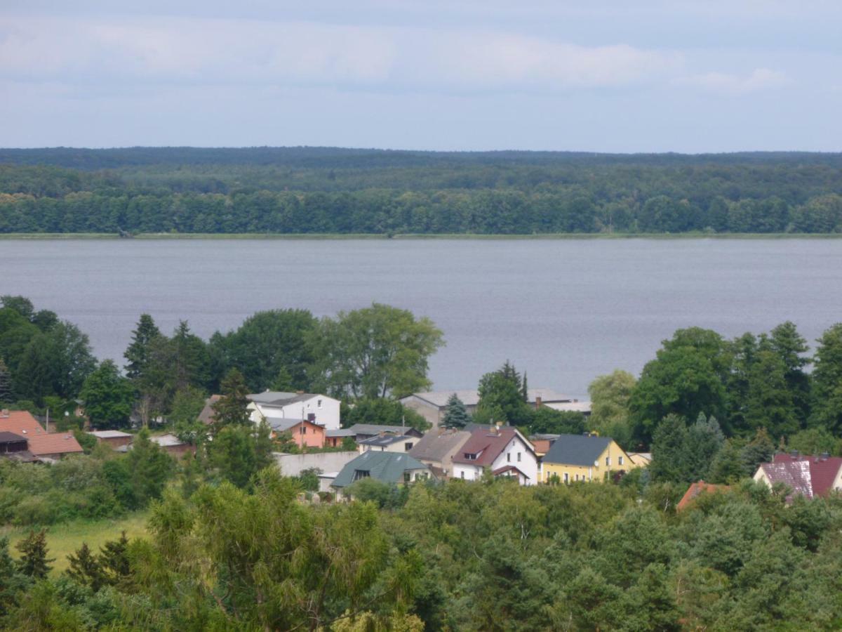 Landpension Zum Schweizerberg Neugrimnitz 外观 照片
