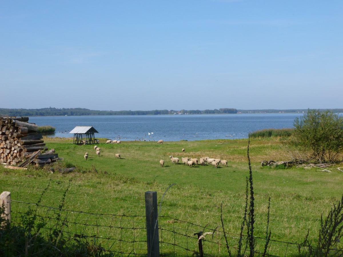 Landpension Zum Schweizerberg Neugrimnitz 外观 照片